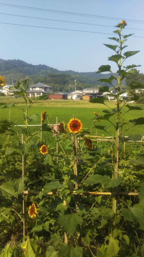 Raibrasil Guest House Sanuki  Экстерьер фото